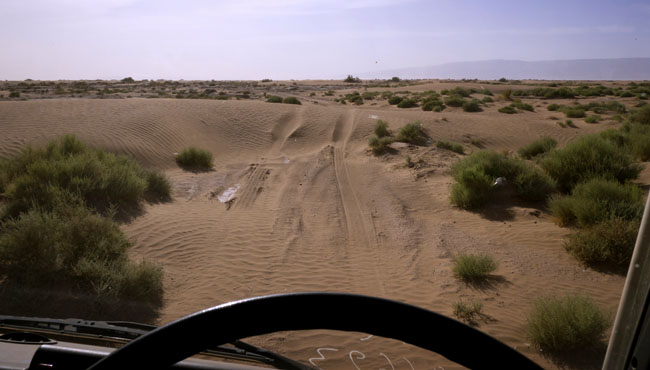 Camper van driving in desert