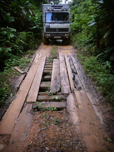 Overgrown jungle road. Weak bridge